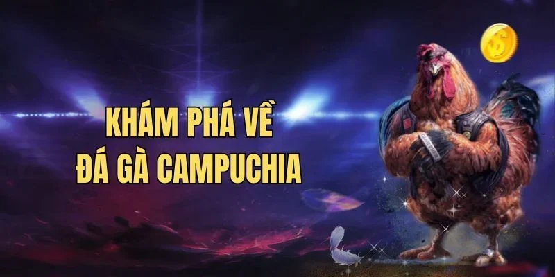Hướng Dẫn Trải Nghiệm Đá Gà Campuchia Xanh Chín Tại SV88 Hướng Dẫn Trải Nghiệm Đá Gà Campuchia Xanh Chín Tại SV88